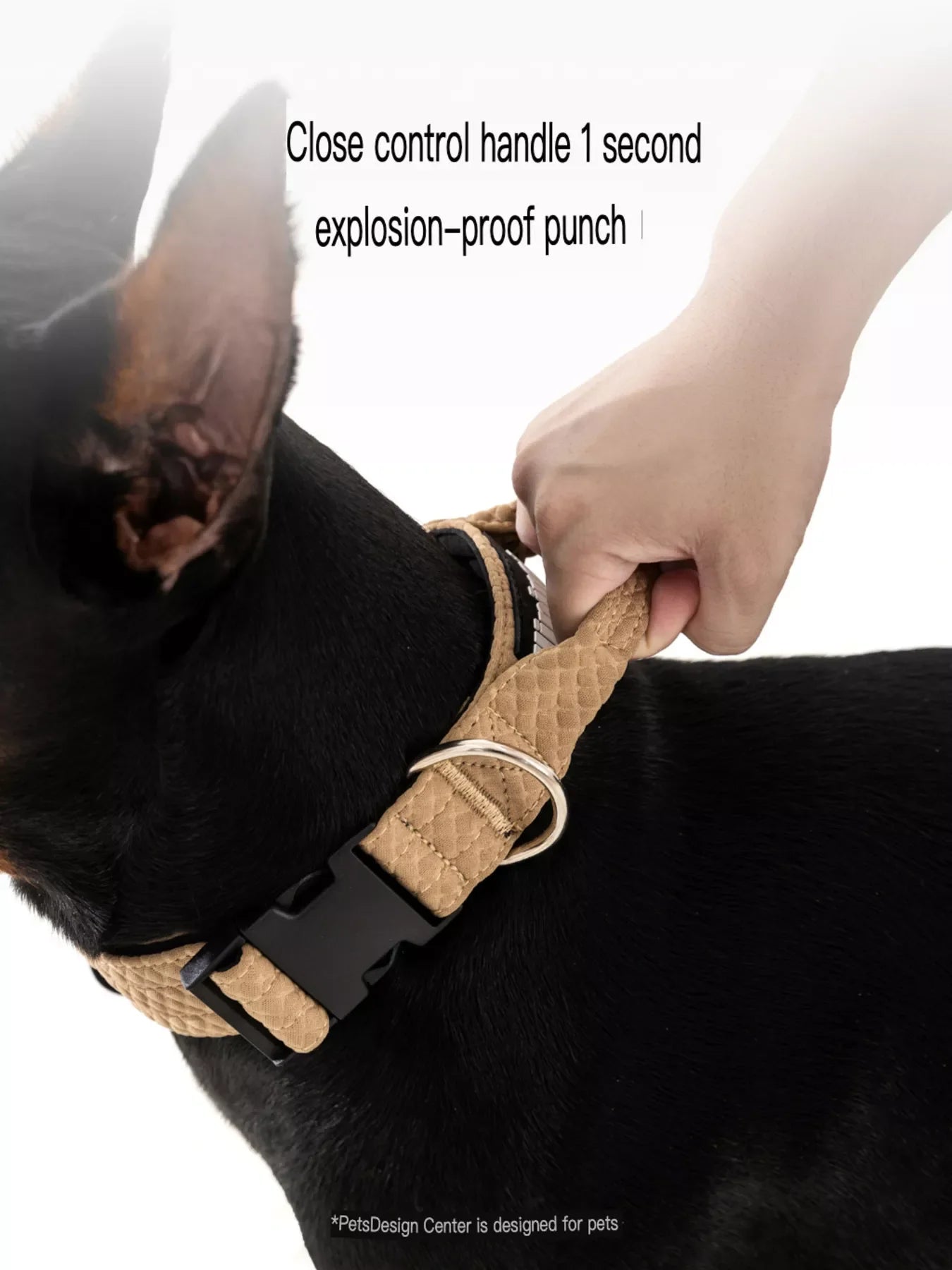 Comfortable Neck Guard Explosion-Proof Pet Collar