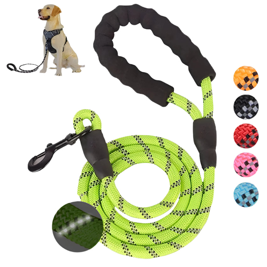 Retractable Pet Luminous Leash