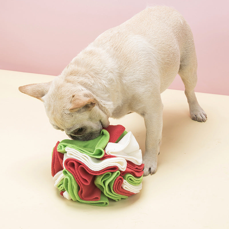 Pet Sniff Training Treat Puzzle Toy
